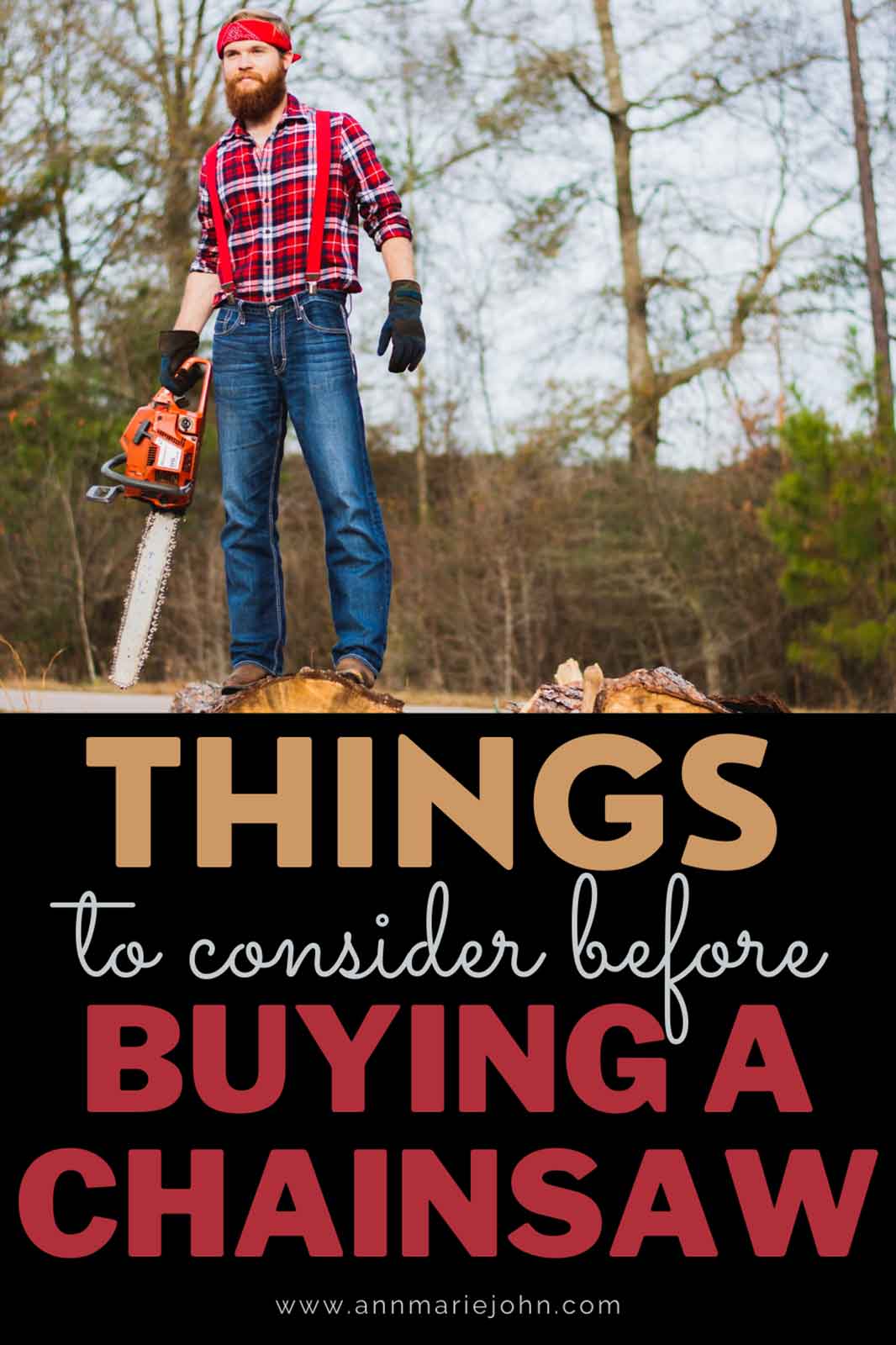 Things to Consider Before Buying a Chainsaw