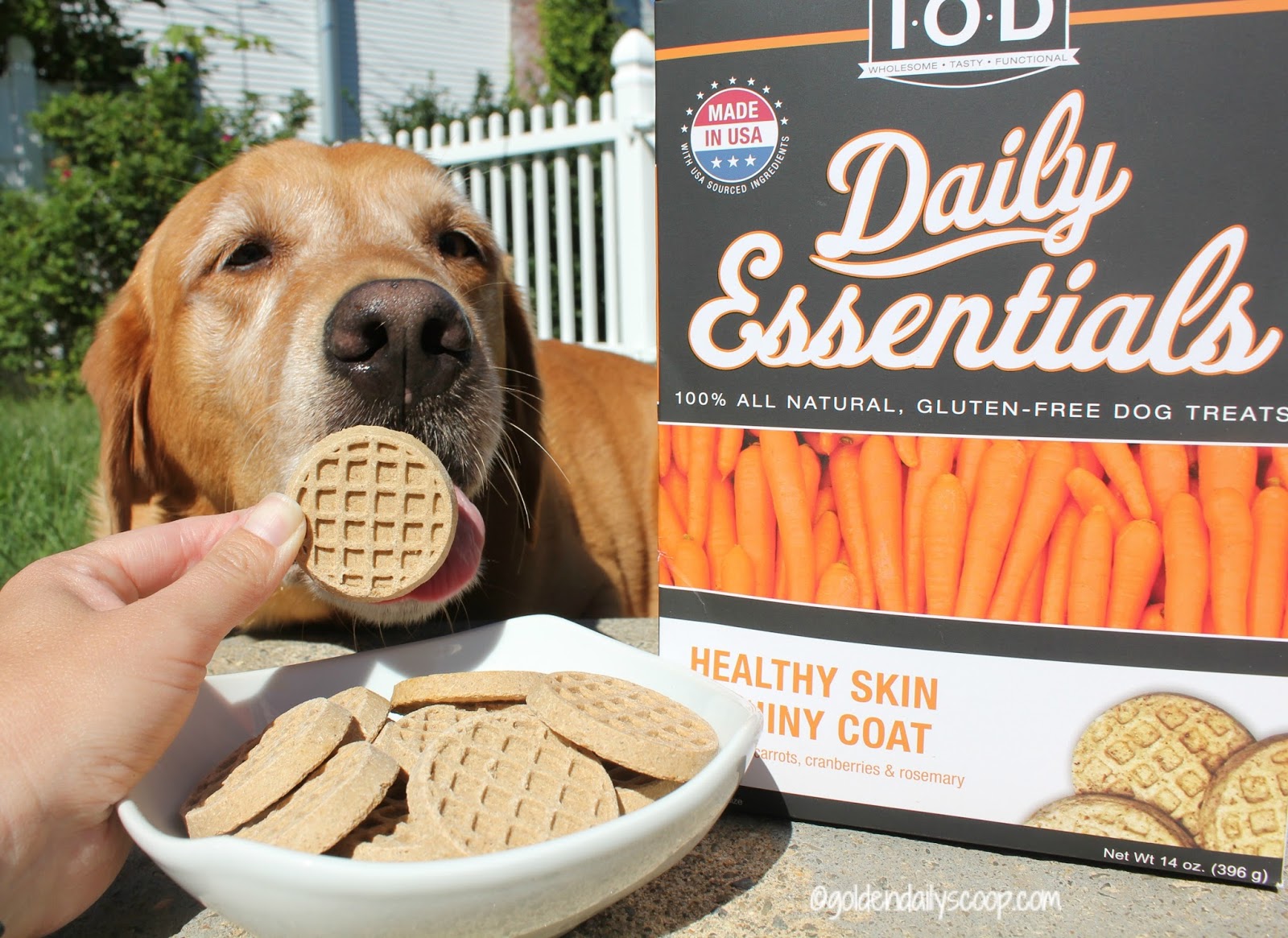 Make Your Dog Shine with Isle of Dog Grooming Products