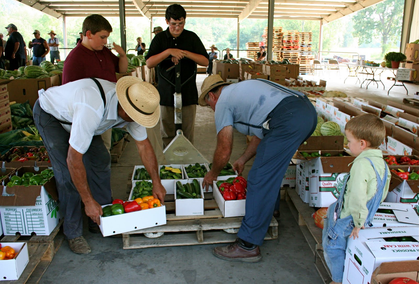 Farmwife at Midlife The Ponds Put Up Some Pecks of Peppers