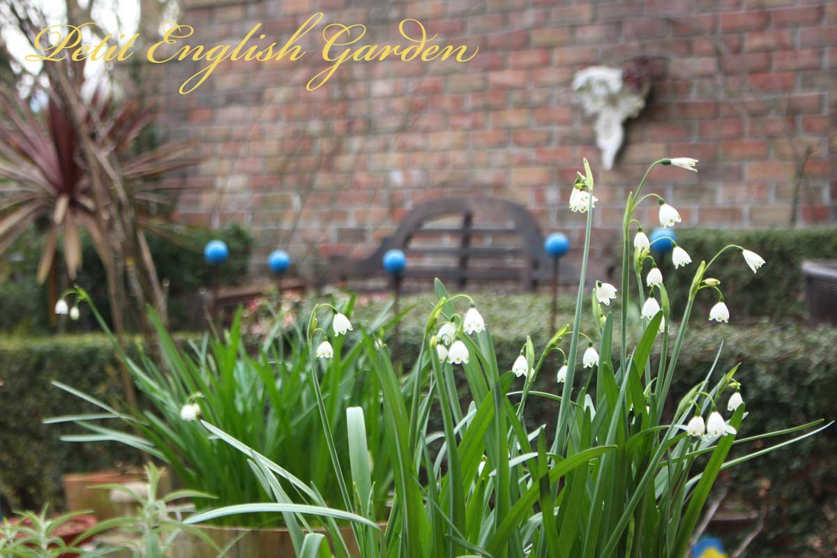 Petit English Garden of MARPLE & POIROT