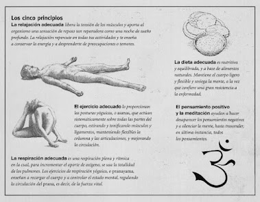 BASES DEL YOGA