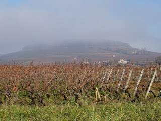 The hill of Corton