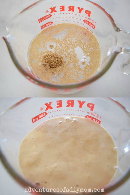 how to proof yeast