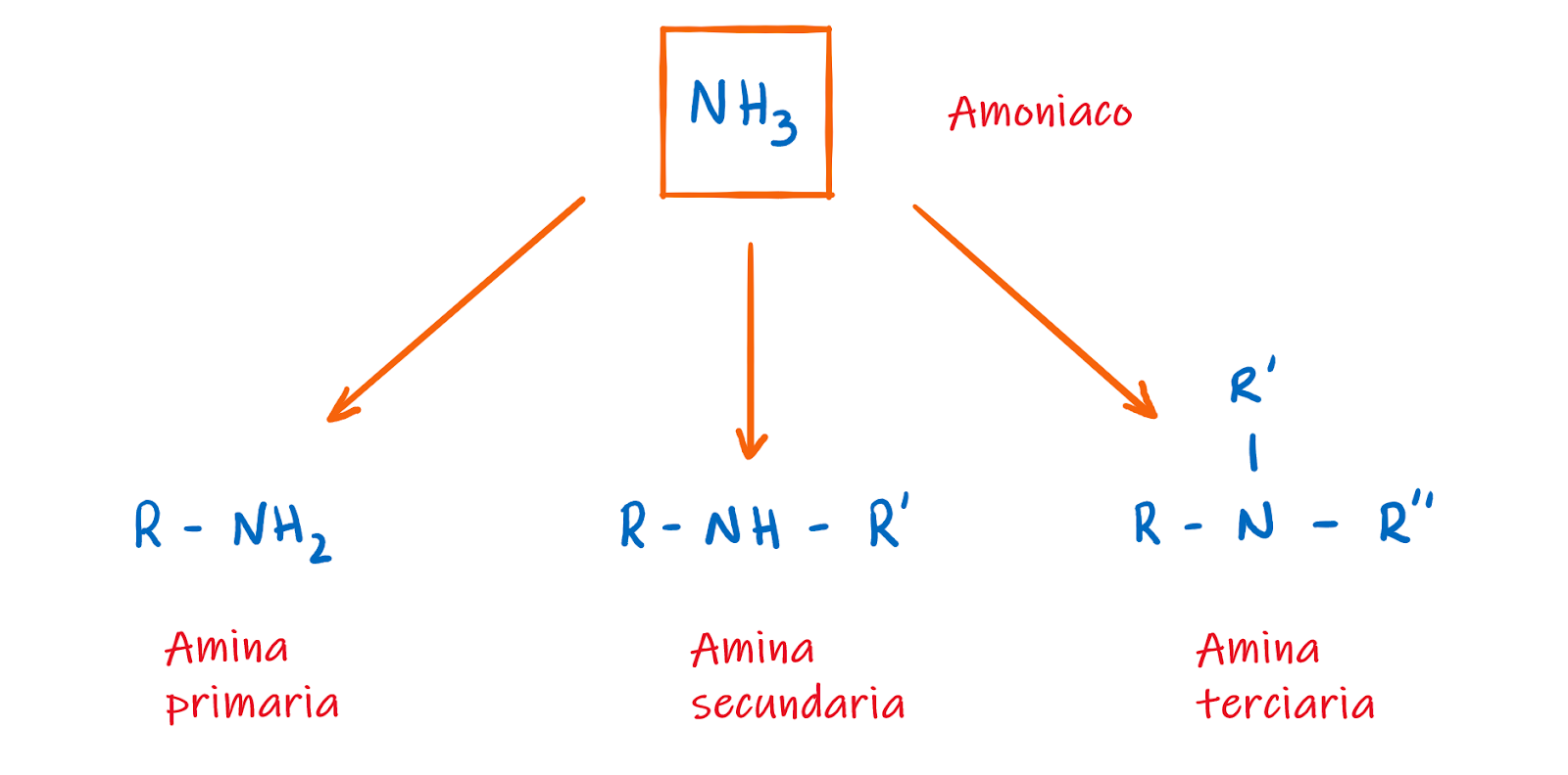 Aminas. Ejercicios resueltos Física Química