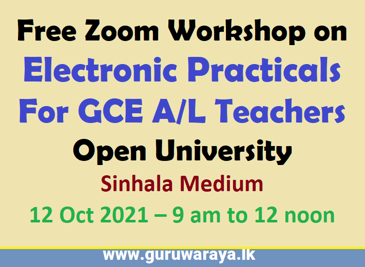 Workshop on Electronic Practicals for AL Teachers