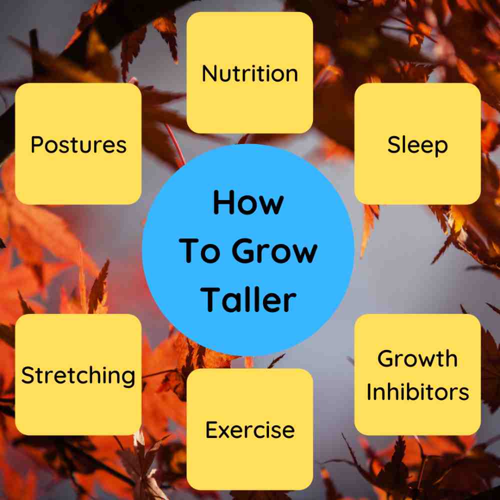 How To Grow Taller6 Simple Tips