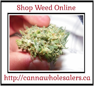 Weed Online Have Lot To Offer So You Must Check The Out 14