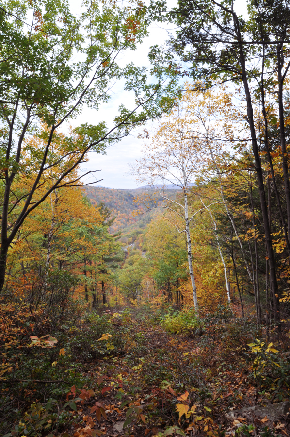 Weird Wonderful Wanderlust NEW YORK Hiking in the Catskills II