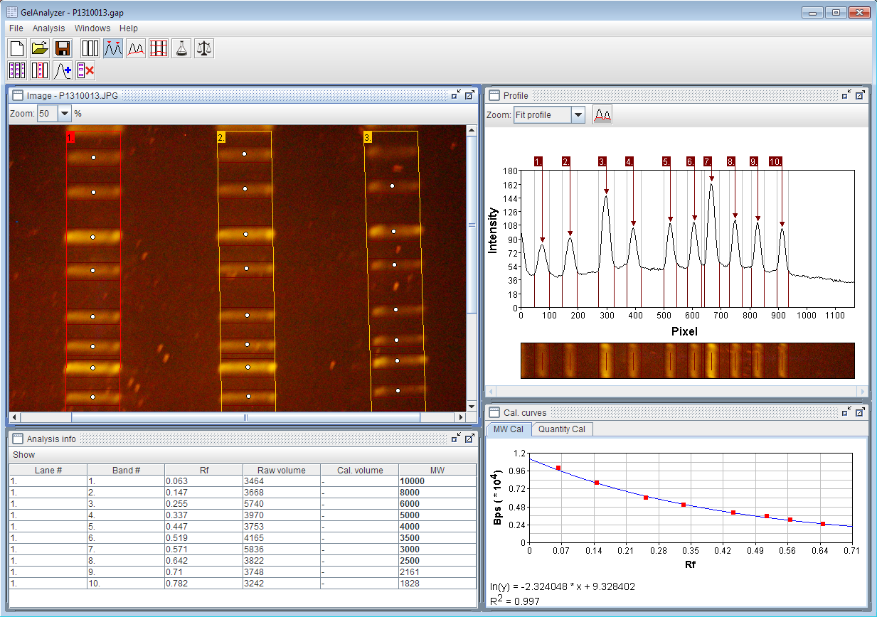 J&B Lab S.A.C. Herramienta Gratuita para análisis de geles 1D