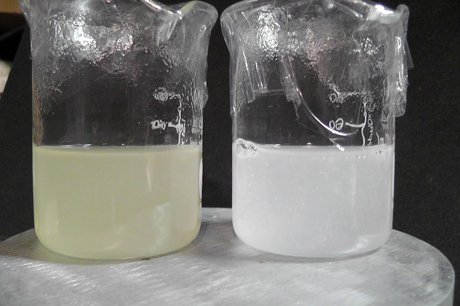 GUAR GUM INFORMATION AND GUAR GUM CULTIVATION IN INDIA GUAR PHOTO GALLERY