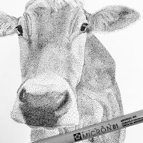 02-Curious-Cow-Kelsey-Hammerton-www-designstack-co