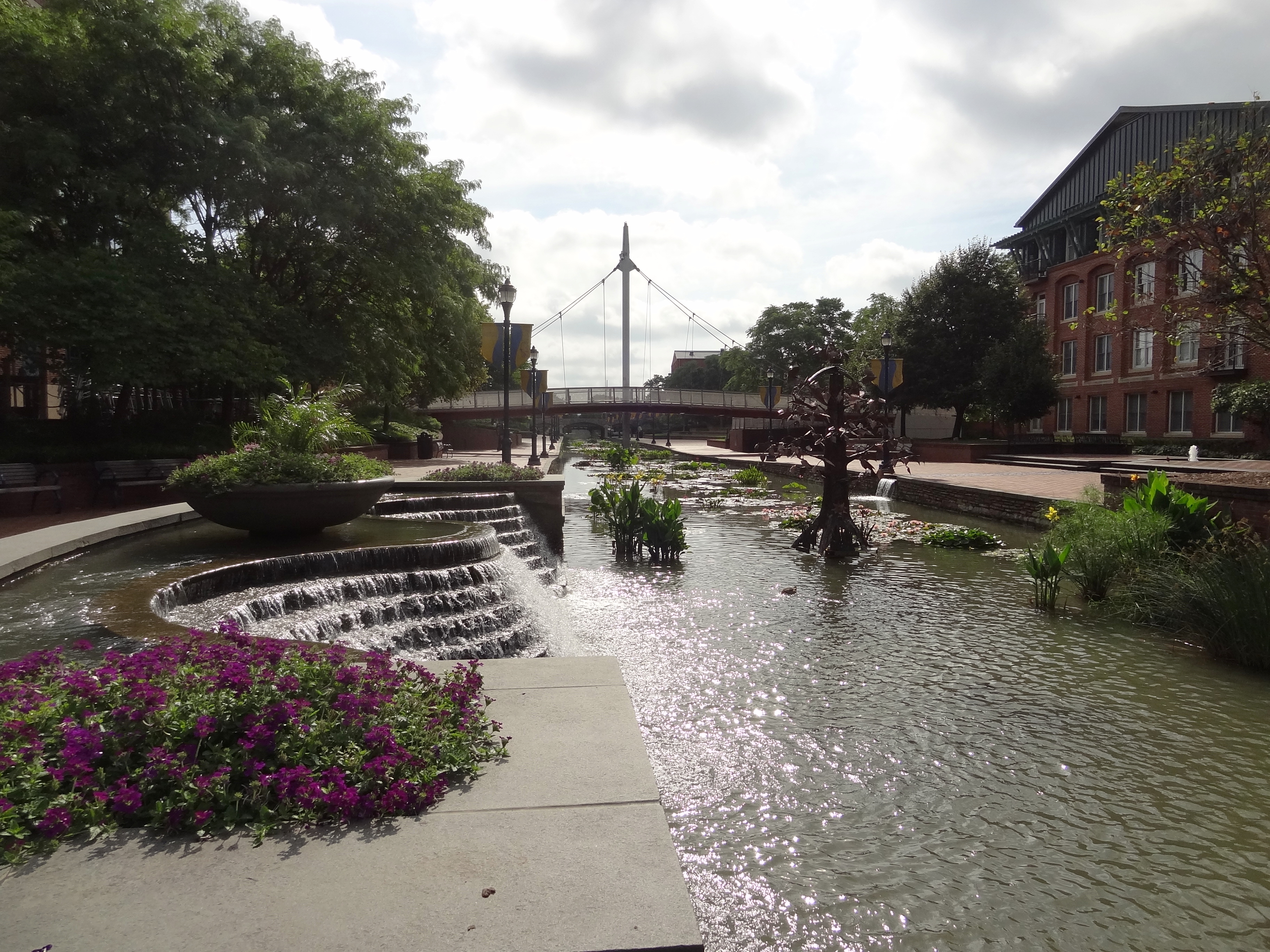 Live and LearnToss and Turn A Linear Park