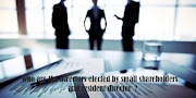 Resident director and Directors elected by small share holders with terms and conditions