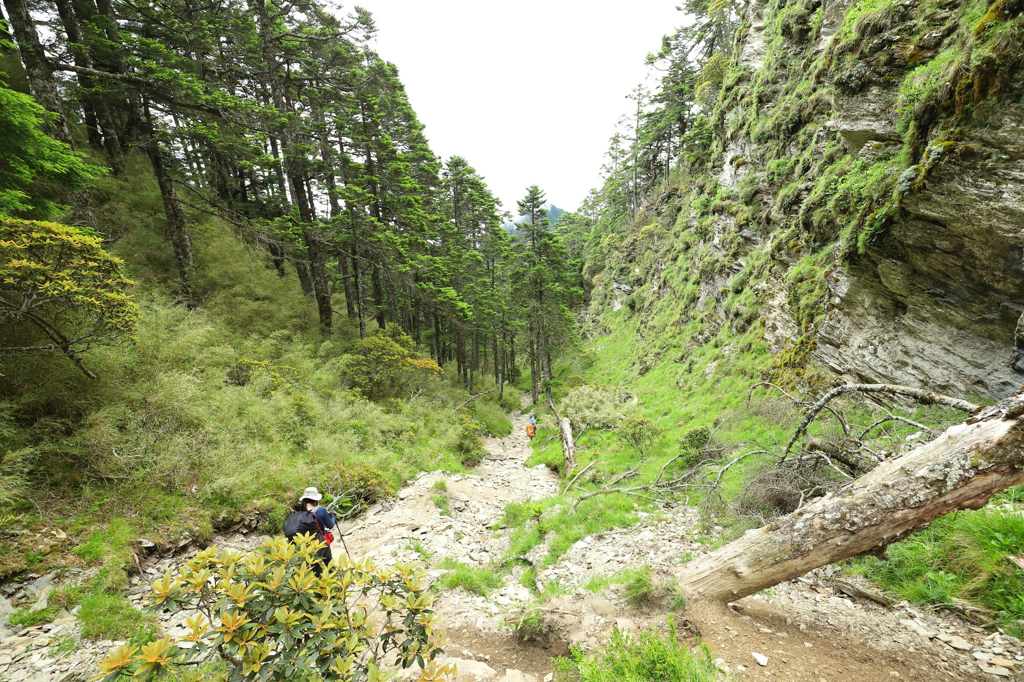 畢祿山羊頭山縱走