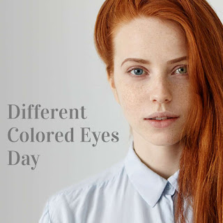 National Different Colored Eyes Day HD Pictures, Wallpapers