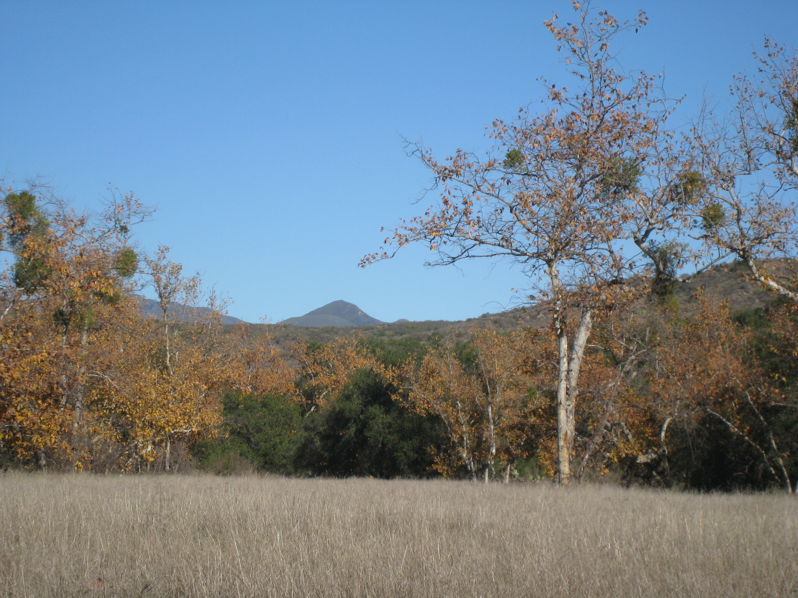 Caspers Wilderness Park Day Use, Camping, and Hiking Trails Caspers wilderness park weather