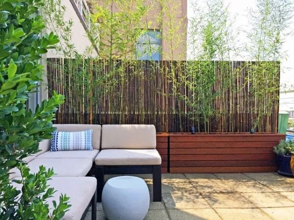 Model Pagar Rumah Minimalis dari Bambu - Rancangan Desain Rumah Minimalis