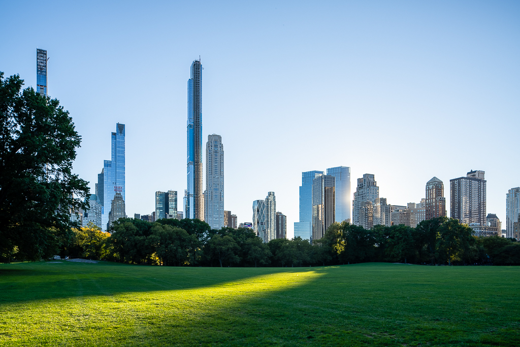 Sunlit Meadow - Central Park - Daniel South Photogrphy a photo of a sunlit meadow in central park new york city