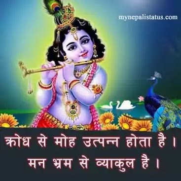 lord krishna photo | images with quotes hindi english krishna photo