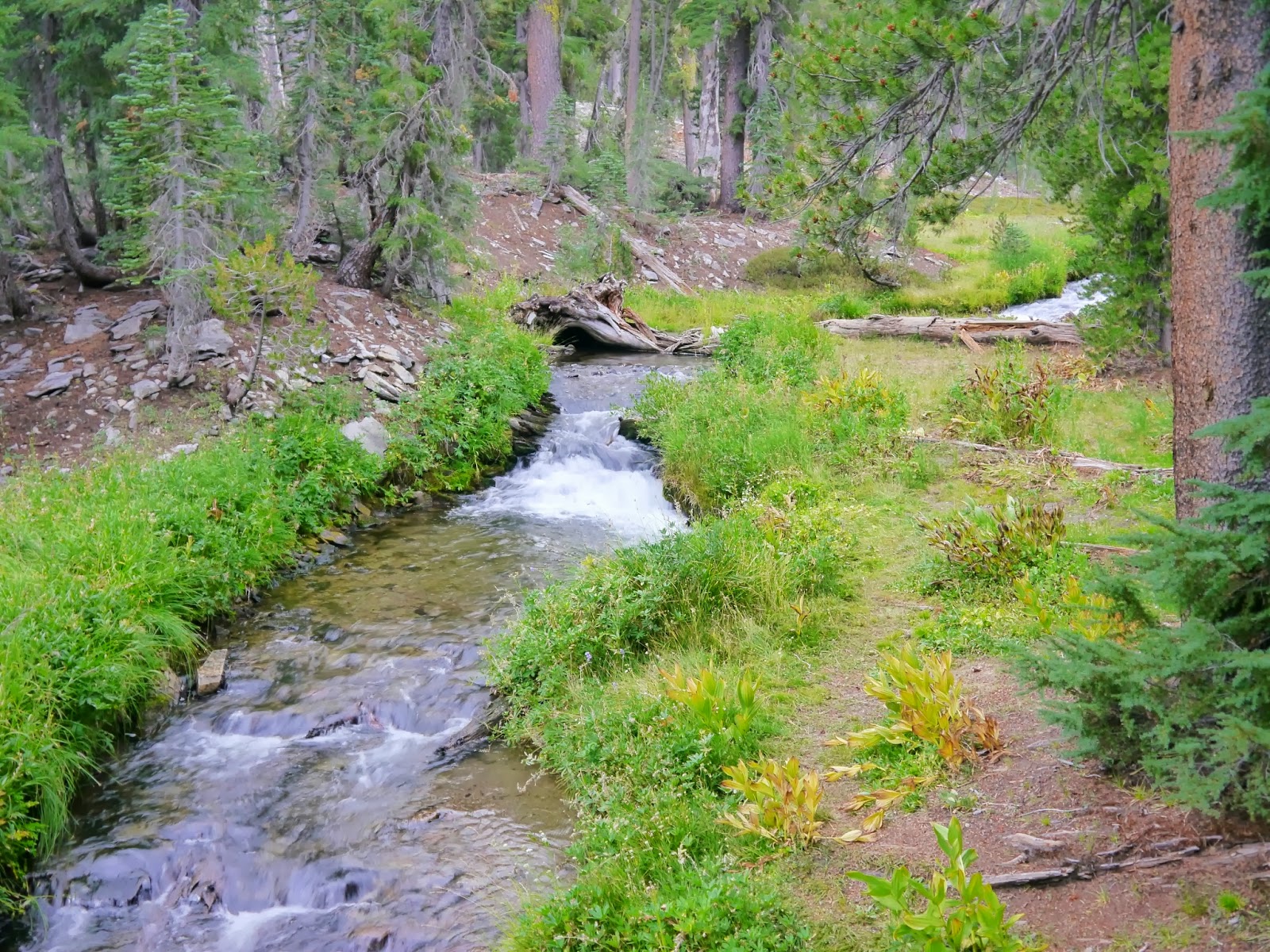 American Travel Journal Kings Creek Falls Lassen Volcanic National Park