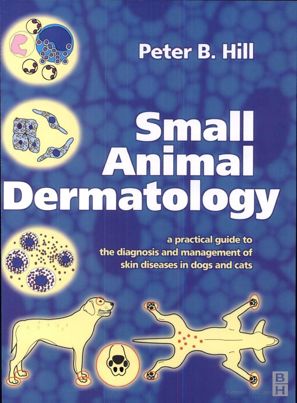 Small Animal Dermatology A Practical Guide to Diagnosis PDF Lobby