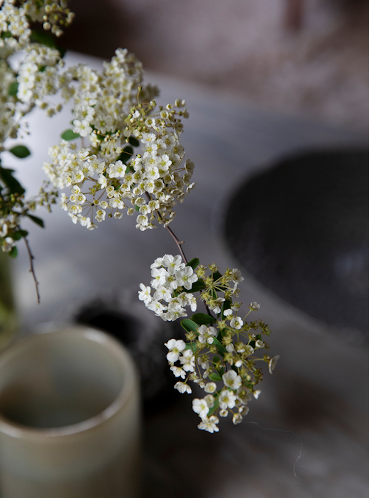 6 eletrodomésticos que vão te ajudar (muito) na cozinha