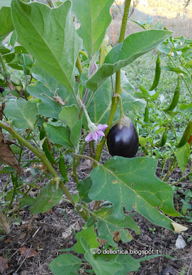 confetture di petali di rosa, gelatina di tarassaco, confetture di fichi, lamponi, ribes bianco e nero, ribes rosso, amarene, melone, piccoli frutti, oleoliti di rosa. di rosmarino, di salvia, di lavanda, di lavandino, di elicriso, di iperico, sali aromatici, sali aromatizzati all'issopo, al timo, alla maggiorana, ghirlande, lavande