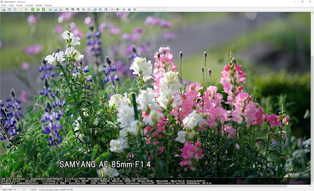 SAMYANG AF 85mm F1.4 FE で撮影 SAMYANG AF 85mm F1.4 FE で撮影