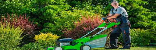 Tips on Spring and Fall in Organic Lawn Care