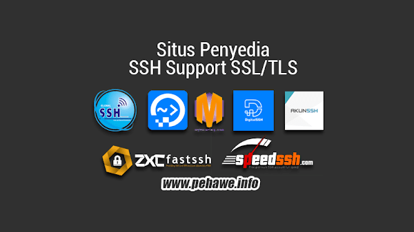 Situs Penyedia SSH Support SSL/TLS 30 Hari