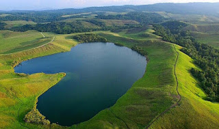 contoh indikator biologi polusi tanah