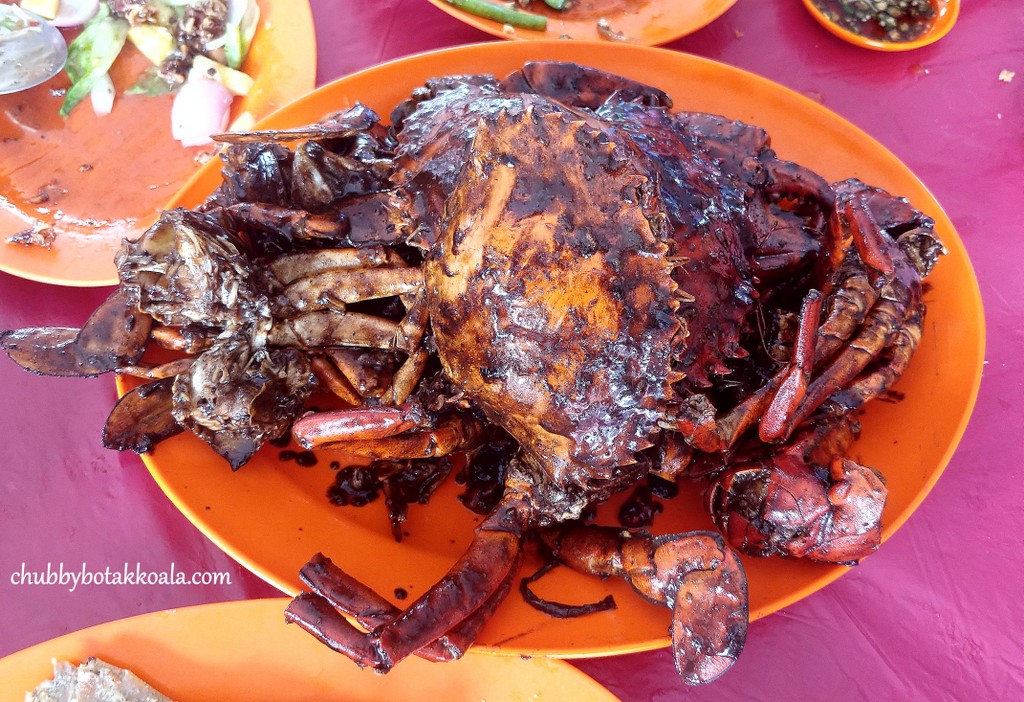 Chubby Botak Koala Singapore Food Blog Travel And Lifestyle Restoran Chua Kee Remarkable Seafood Zi Char