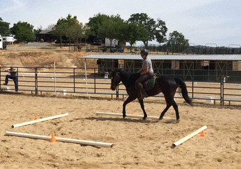 Lara Vs Horse Lara Vs Horse