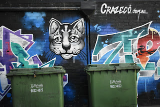 Parramatta Street Art | 'Crazece Cats by Spice