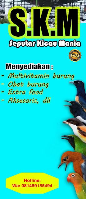 Seputar Kicau Mania E Bodre Ebod Jaya