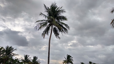 Clouds and Coconut trees