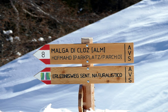 escursioni passeggiate invernali neve val di non