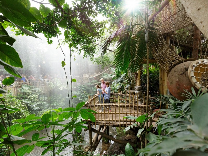 Choosing the Best Center Parcs Holiday in the Netherlands | North East Choosing the Best Center Parcs Holiday in the Netherlands | North East