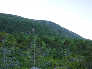 View of Champlain from Enoch Slabs Acadia