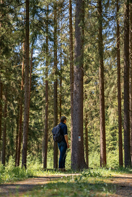 Vogtland Panorama Weg  Etappe 7 von Bad Brambach nach Markneukirchen  Wandern in Sachsen 12