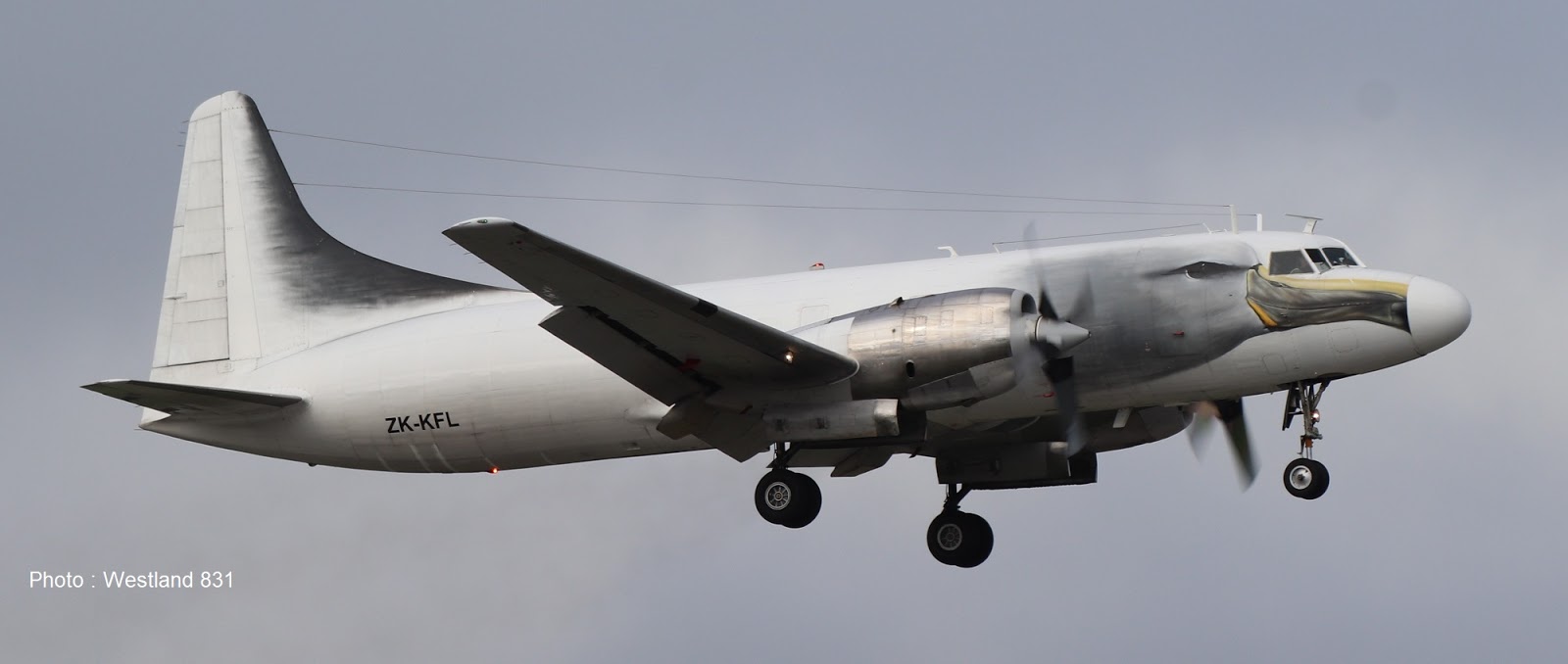 3rd Level New Zealand Air Chathams' Freighter