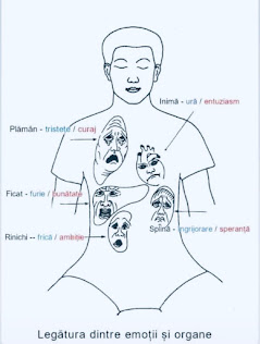 atentie la emotiile dvs