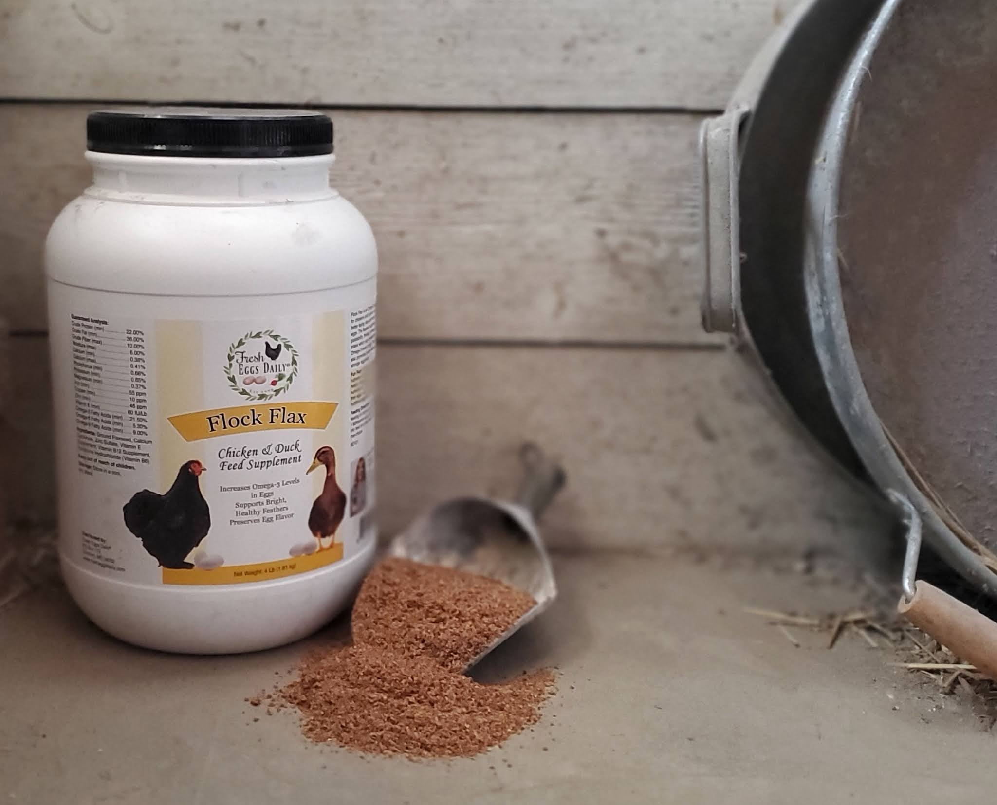 Benefits of Flax + Omega3 for Chickens Fresh Eggs Daily®