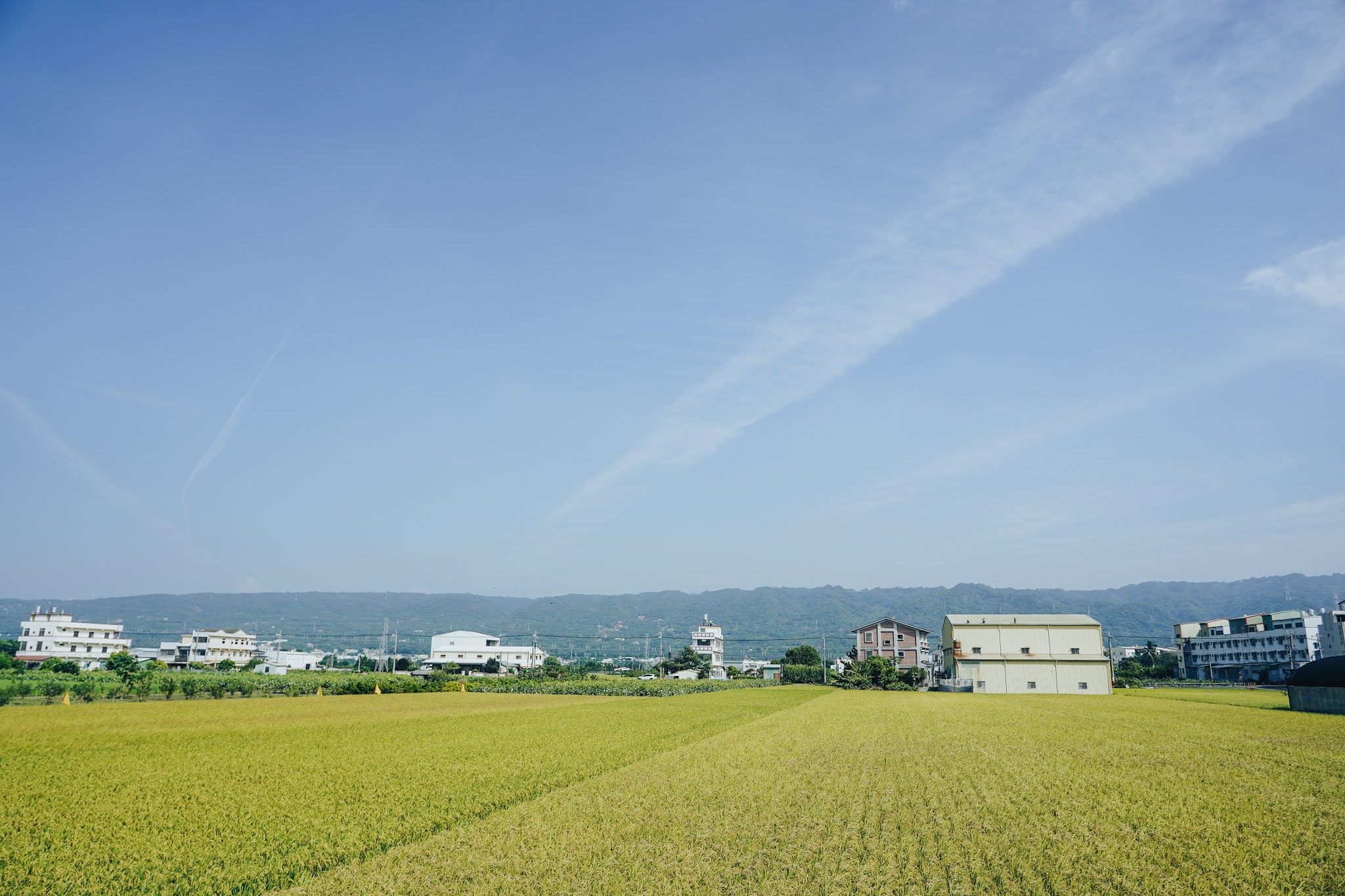 彰化清水岩、十八彎挑鹽古道一日遊，跟著彰化人去彰化社頭浪流連《KNOX ▲ LIVE WILD》 11 2024