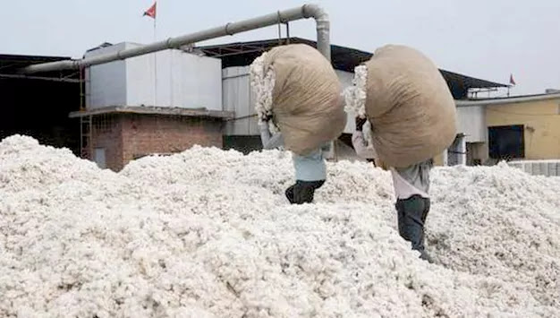the gujarat bajar samachar of cotton foreign cotton futures markets boom agriculture in India cotton market price are hike