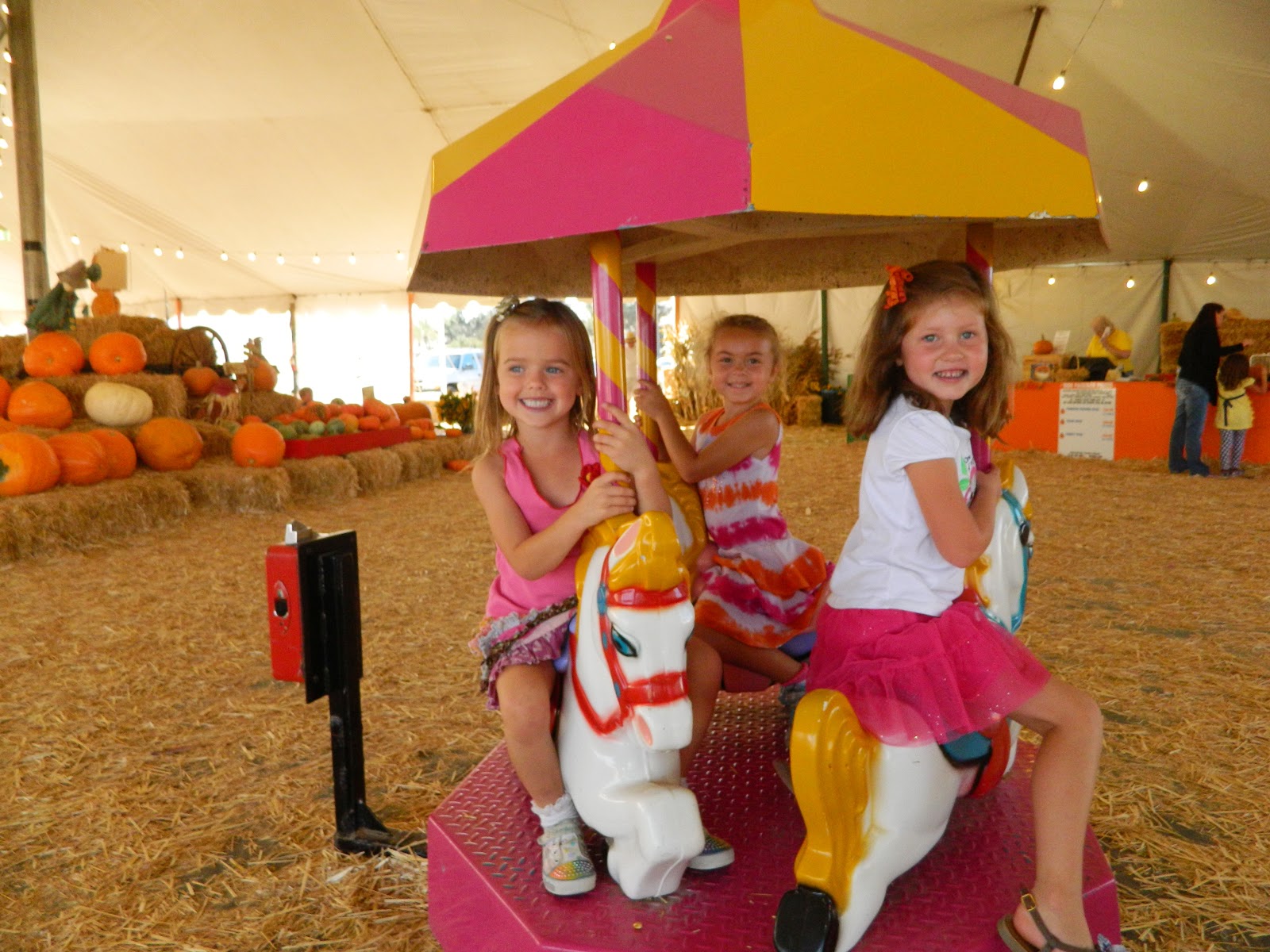 The Silveri Story The Del Mar Pumpkin Station