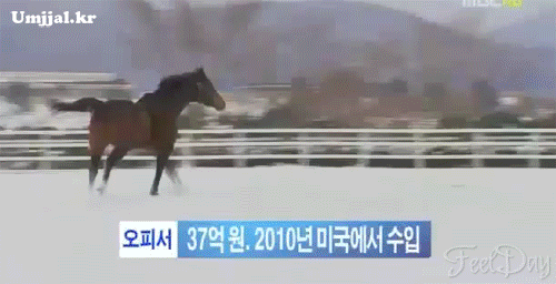 umjjal_kr_134.gif