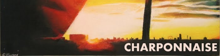 Charponnaise - music, feminism, opinion, reviews