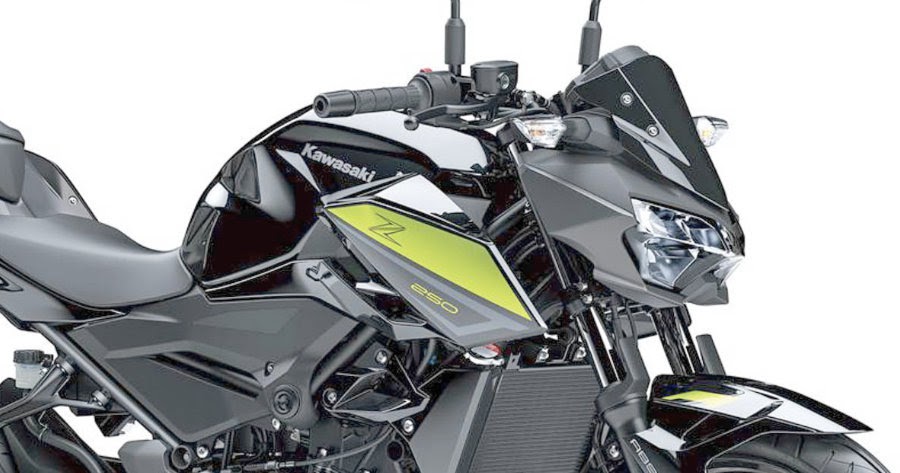 Folde invadere retort 2022 Kawasaki Z250 officially launched - MOTORIDA