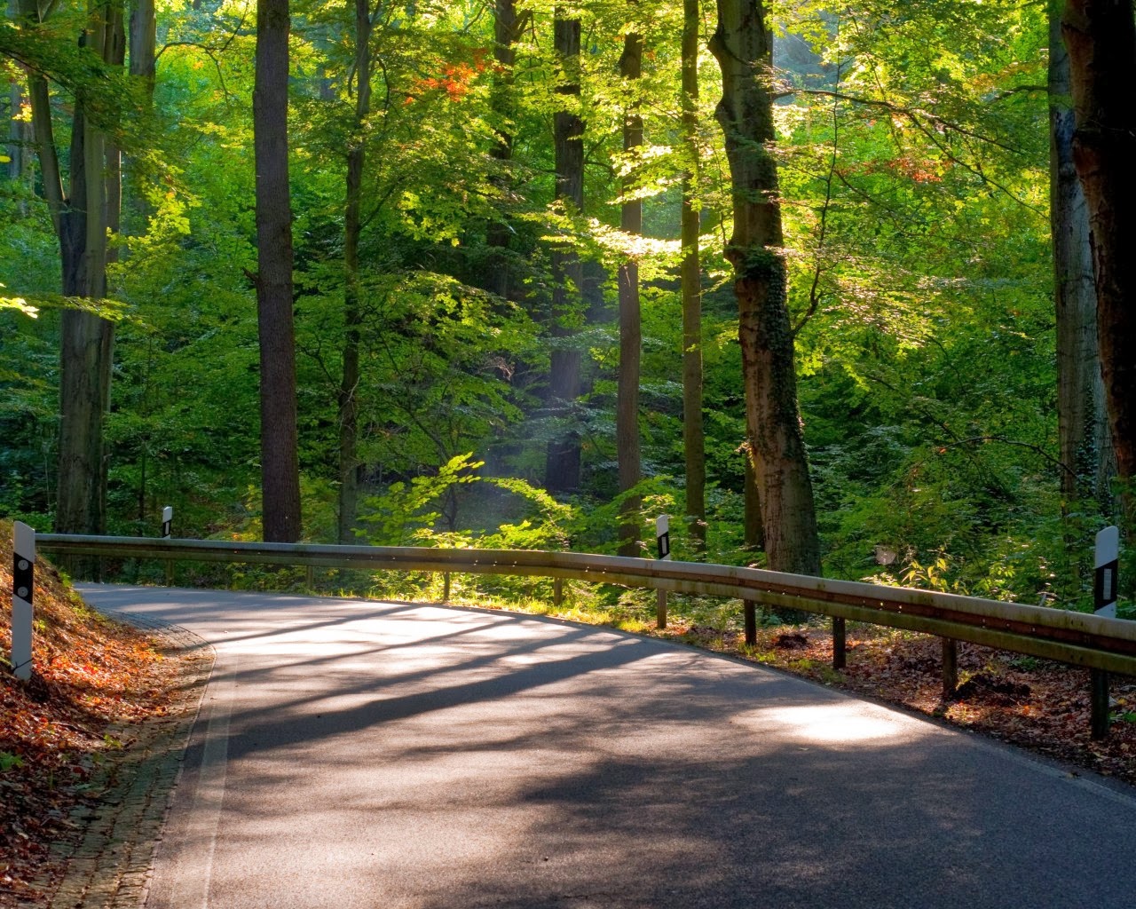 حمل صور خلفيات رائعة لـ ويندوز 10 مجان ا